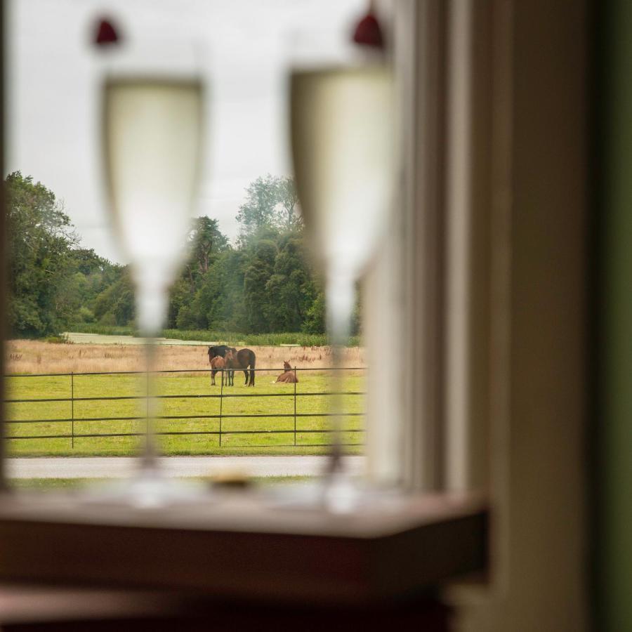 Castlemartyr Resort Hotel Екстер'єр фото View of the stud from the stable window