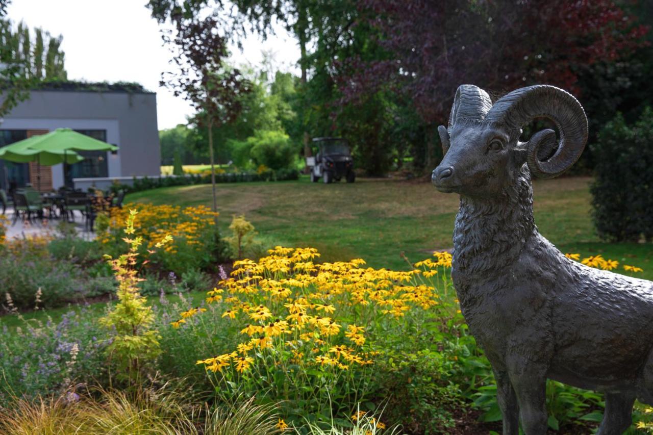 Castlemartyr Resort Hotel Екстер'єр фото The Bighorn Sheep statue at the entrance of the Bighorn Sheep Provincial Park