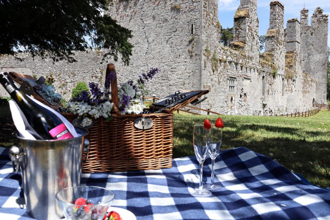 Castlemartyr Resort Hotel Екстер'єр фото Picnic at Trim Castle